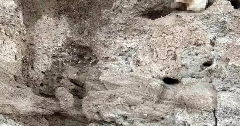 Yozgat ta İnsan Kemikleri Bulundu