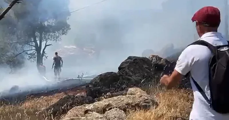 Ayvalık ta orman yangını