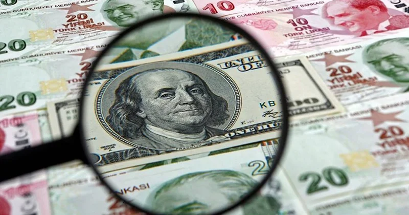 Dolar kaç TL oldu?