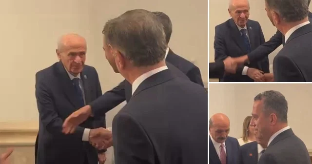 Ali Mahir çekirgeye döndü: Önünde eğildiği Bahçeli yüzüne bakmadı Politika Haberleri