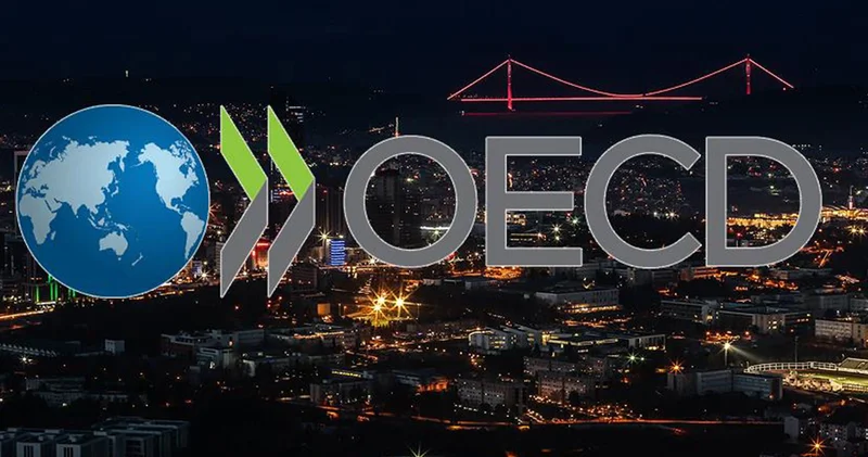 OECD Türkiye ekonomisi tahminini düşürdü