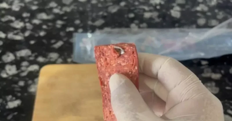 Sucuktan çıkan cisim mide bulandırdı!