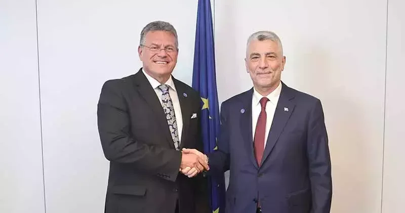 Bakan Bolat, AB Komisyonu Ticaretten Sorumlu Üyesi Maros Sefcovic ile görüştü