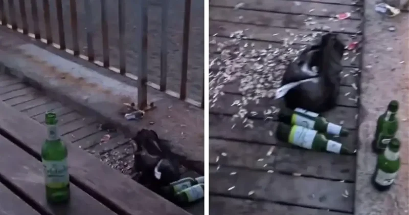 Konyaaltı sahilindeki kirliliğe isyan eden turistin söyledikleri dikkat çekti