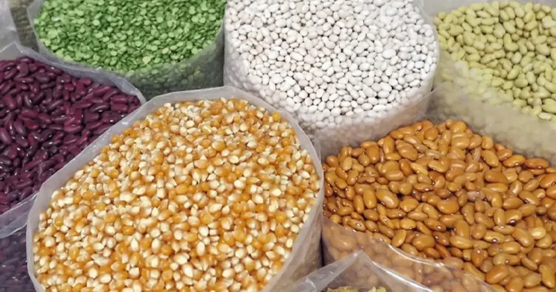 2025 Hububat fiyatları belli oldu! İşte güncel fiyatları