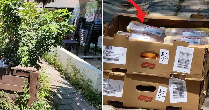 İzmir deki Zincir Marketten Skandal: Tavuk Ürünleri Güneşin Altında Bekletildi