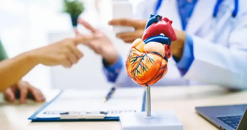 Prof. Dr. İsbir: Kalp kapak hastalıklarında risk yaşla artıyor, erken müdahale hayat kurtarıyor