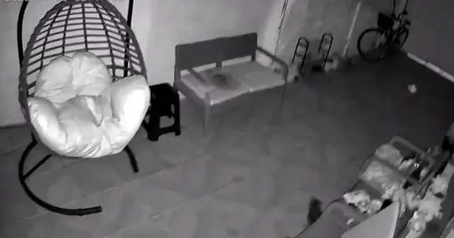 Muğla Marmaris son dakika deprem Muğla’da deprem mi oldu? Antalya, İzmir, Muğla, Manisa’dan hissedildi! Muğla’daki deprem anı kamerada: Yaşanan sarsıntının en görüntüsü VİDEO İZLE