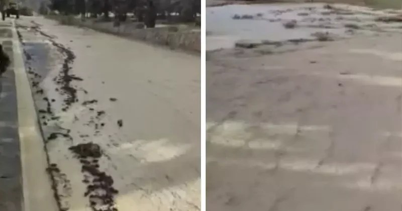 Nallıhan da Ani Yağış Sel Getirdi