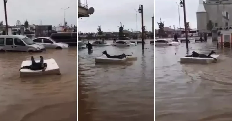 Trabzon daki sel felaketinde 72 yaşındaki vatandaş kayboldu