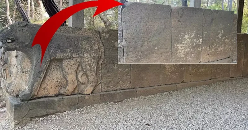 Milyonlarca dolarlık sırlar burada saklı! Çözülmesi için ödüller kondu