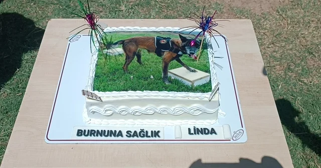 Sağlık sorunları nedeniyle emekli edilen Linda için pasta kesildi Batman Haberleri