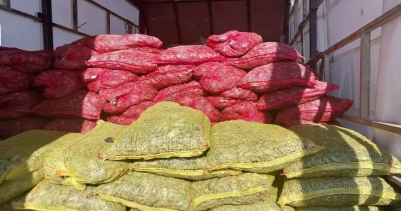 Sakarya’da 5,4 ton kaçan midye ele geçirildi: Değeri 3 milyon TL…