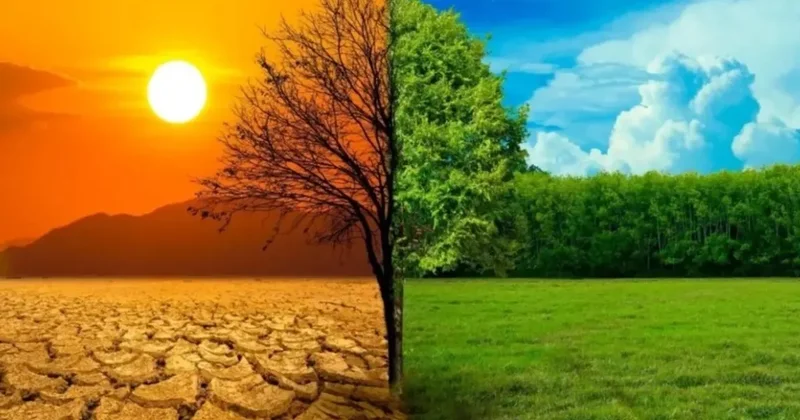 İşte İklim Kanunu gerçekleri! Bakanlık madde madde açıkladı: O iddialara net cevaplar