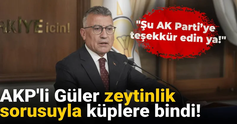 AKP li Güler zeytinlik sorusuyla küplere bindi! Şu AK Parti’ye bir teşekkür edin ya!