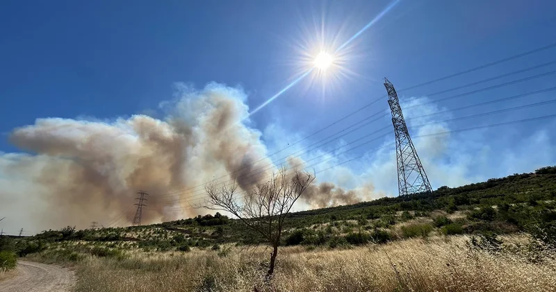 Silivri deki orman yangını mangaldan çıktı: 1 gözaltı