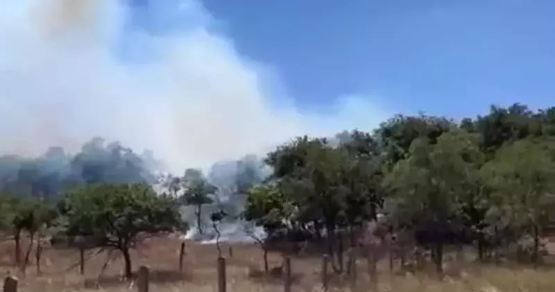 Silivri de otluk alanda yangın