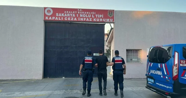Jandarmadan kenevir operasyonu; 1 tutuklama Sakarya Haberleri