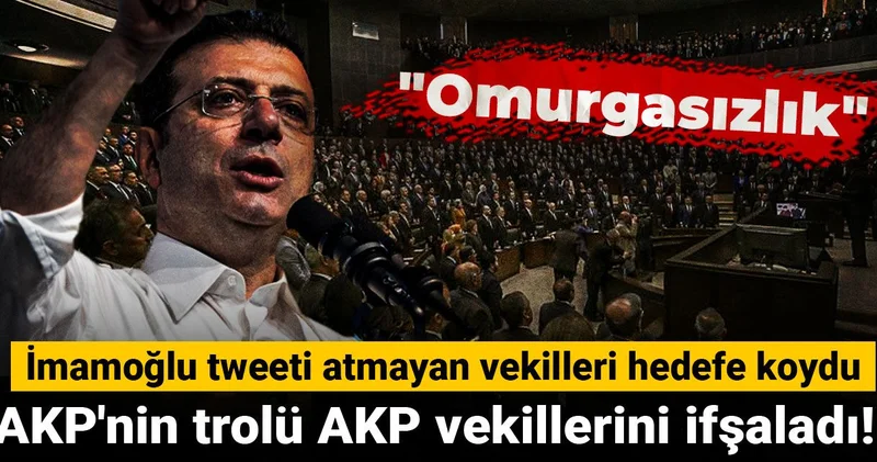 AKP nin trolü AKP vekillerini ifşaladı! İmamoğlu tweeti atmayan vekilleri hedefe koydu