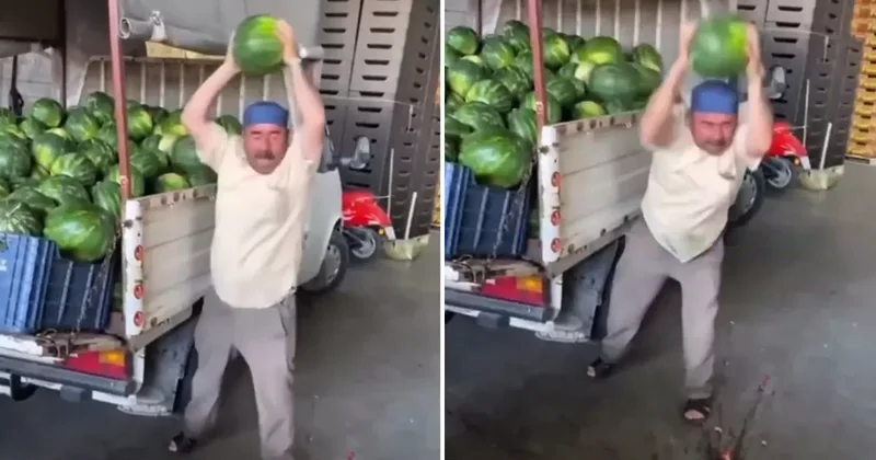 Görüntü Türkiye den! Vatandaş ucuza yemesin diye hepsini tek tek parçaladı