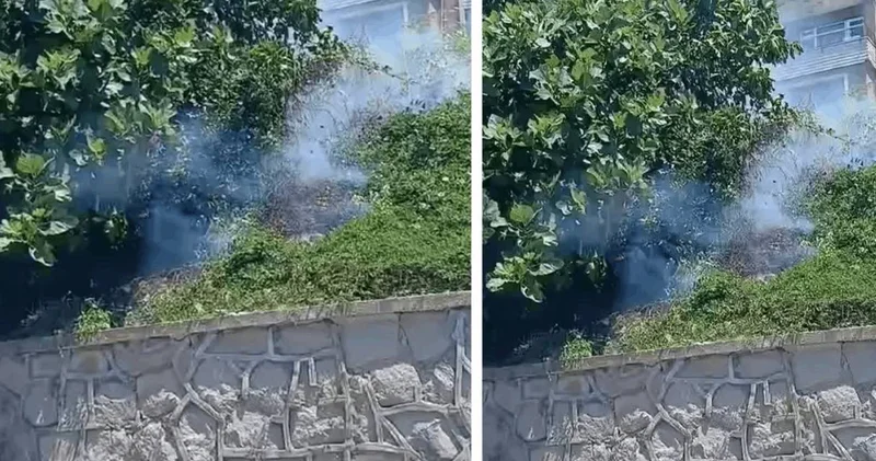 ​​​​​​​Zonguldak’ta karganın trajedisi yangın getirdi!