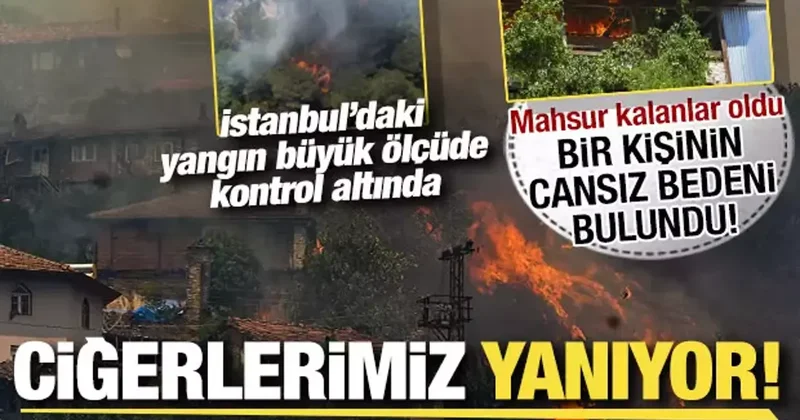 Orman yangınlarında son durum! Bir kişinin cesedi bulundu, İstanbul da iki noktada yangın!