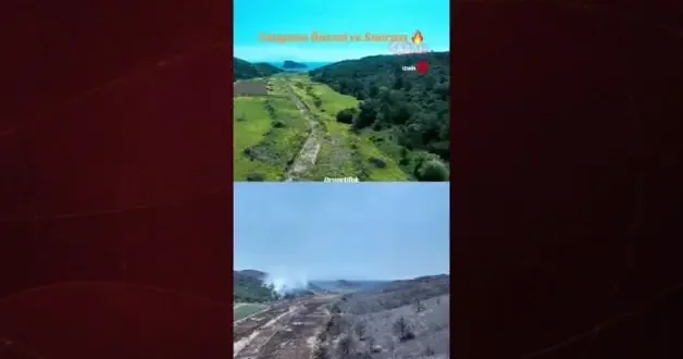 İzmir Seferihisar’da yangının öncesi ve sonrası: Doğanın küller içindeki dramı