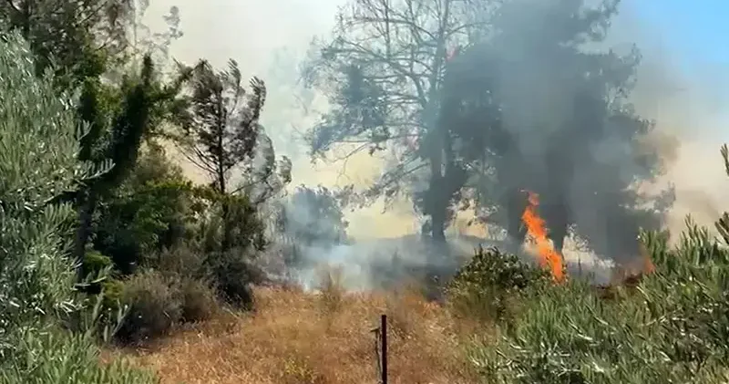 Antalya da çalılıkta çıkıp ormana sıçrayan yangın kontrol altında