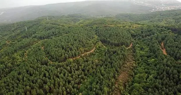 Erzincan haberleri Valilik duyurdu: Bir ilde ormanlara giriş yasaklandı 03 Temmuz 2025