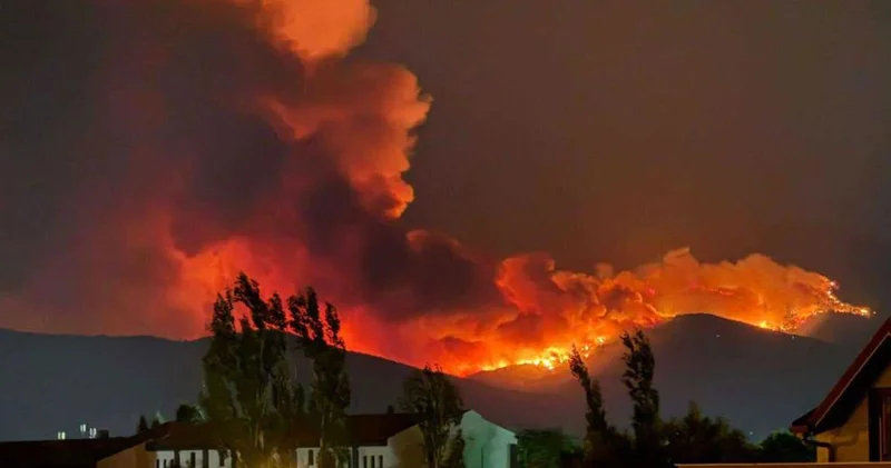 İzmir deki orman yangınında son durum: Mahalleler boşaltılıyor