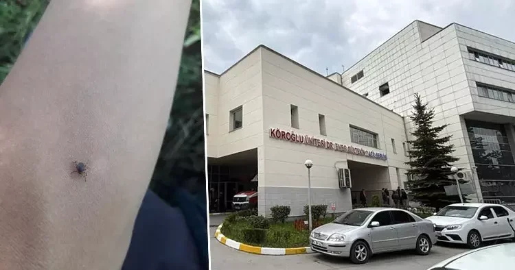 Bir kene vakası daha: 77 yaşındaki kadın hayatını kaybetti