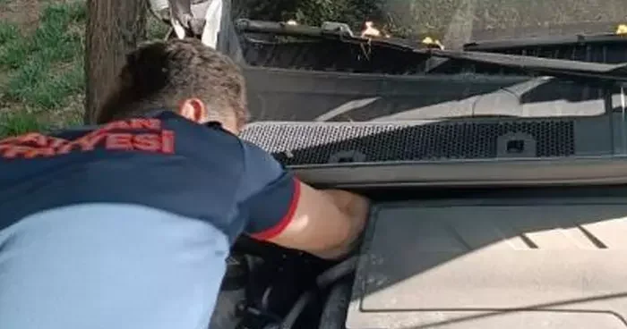 Batman da otomobilin motoruna sıkışan kediyi itfaiye kurtardı