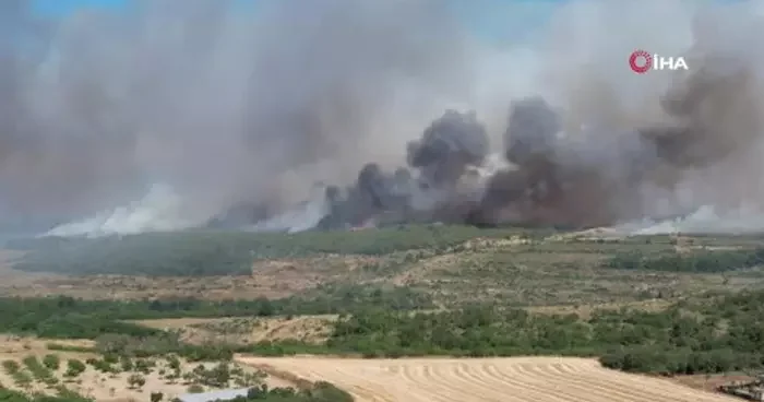 Silivri de yangın! Korkulan oldu, ormanlık alana sıçradı