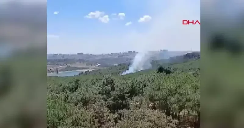 Sultangazi Kent Ormanı nda yangın