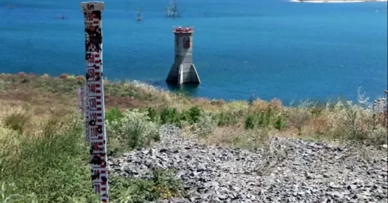 Tekirdağ da kuruyan Çakıl Göleti nde balıklar telef oldu Sözcü Gazetesi