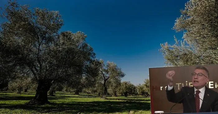 Zeytinliklerle ilgili gelen o soruya çok kızdı! Şu AK Parti ye bir teşekkür edin ya!