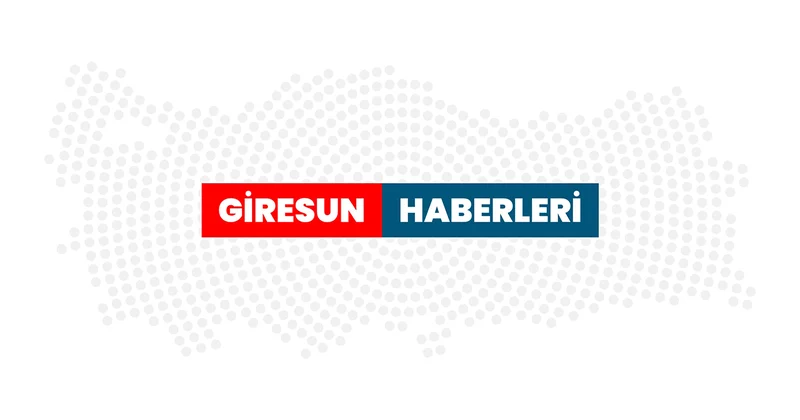 Trafik güvenliğini tehlikeye düşüren sürücüye ceza kesildi Giresun Haberleri
