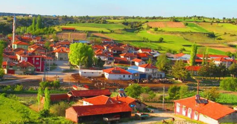 5 yaşındaki kız tek hamlesiyle tüm köyü yok olmaktan kurtardı Sözcü Gazetesi