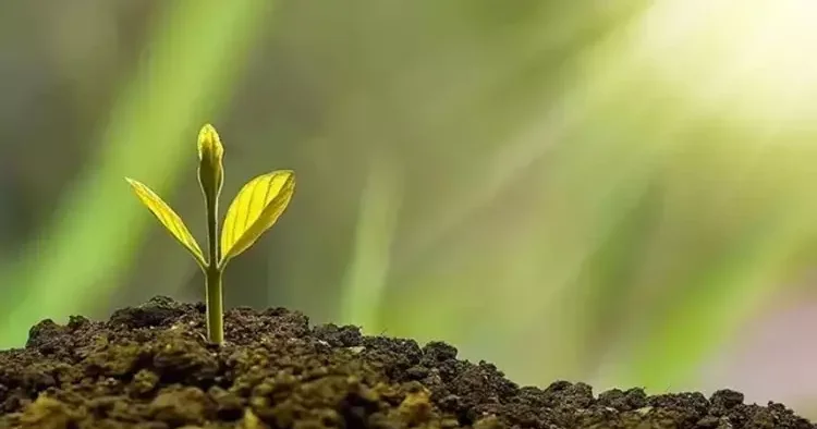 Çevre, Şehircilik ve İklim Değişikliği Bakanlığı, İklim Kanununa ilişkin iddialara yanıt verdi