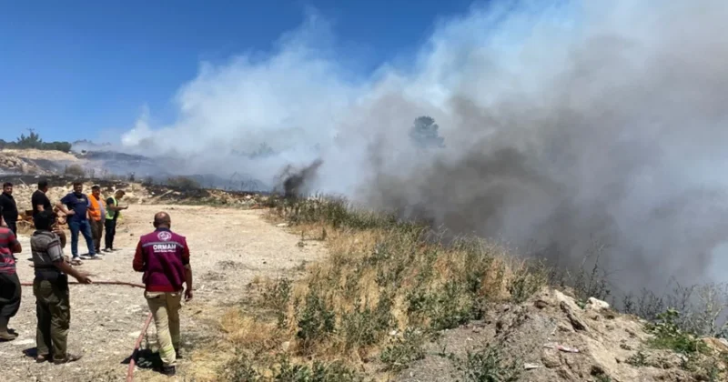 Mersin de çöplükte başlayan yangın ormana sıçradı: Müdahale sürüyor Sözcü Gazetesi