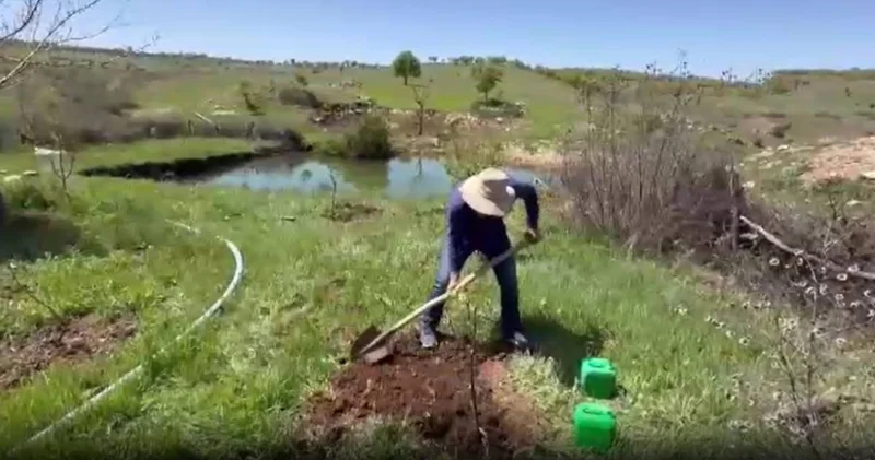 25 yıldır Diyarbakır ın her yerine dikti: 10 yaşında başlamış