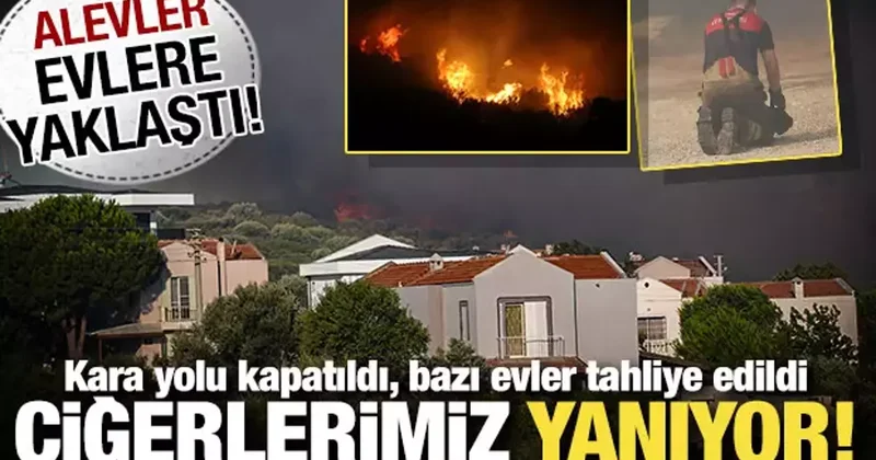 Orman yangınlarında son durum ne? Birçok ilde ciğerlerimiz yanıyor...