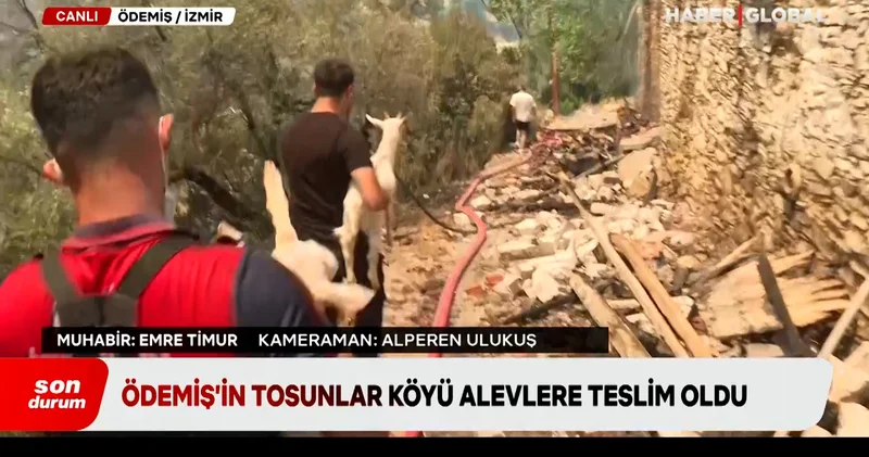 İzmir Ödemiş alevlere teslim oldu: Mahsur kalan hayvanlar böyle kurtarıldı