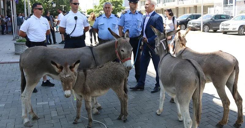 Meclis Başkanı 41 oturumda seçilemeyince 4 eşek getirdi Sözcü Gazetesi