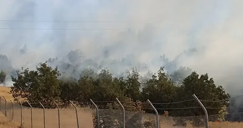 Şırnak’ta örtü yangını