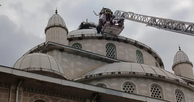 Cami kubbesinde ayağı sıkışan leylek kurtarıldı Bursa Haberleri