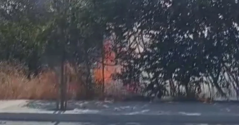 Silivri de otluk alandaki yangın büyümeden söndürüldü