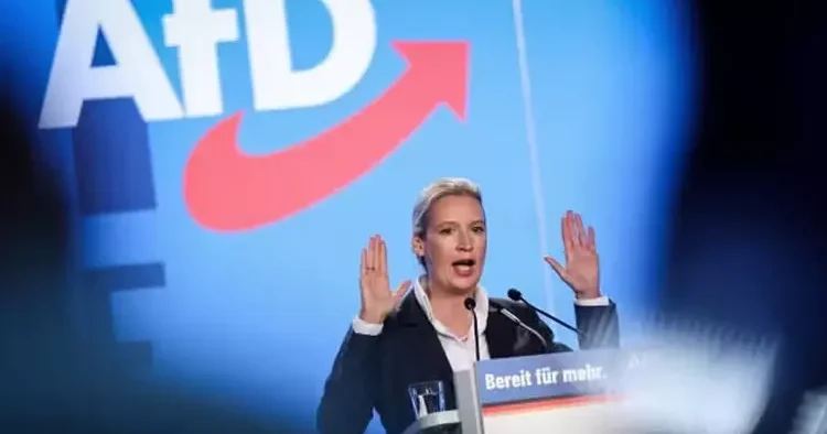 AfD’ye destek arttı