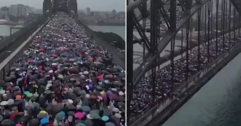 Sydney de 90 Bin Kişi Filistin Destekli Gösteri