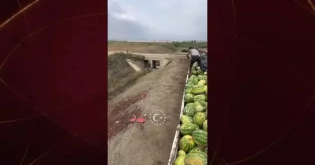 Onlarca karpuzu telef ettiler! Skandal görüntüler Şanlıurfa dan...
